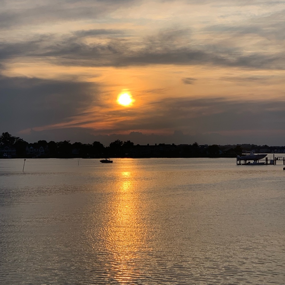 Meet your Posher, Sue